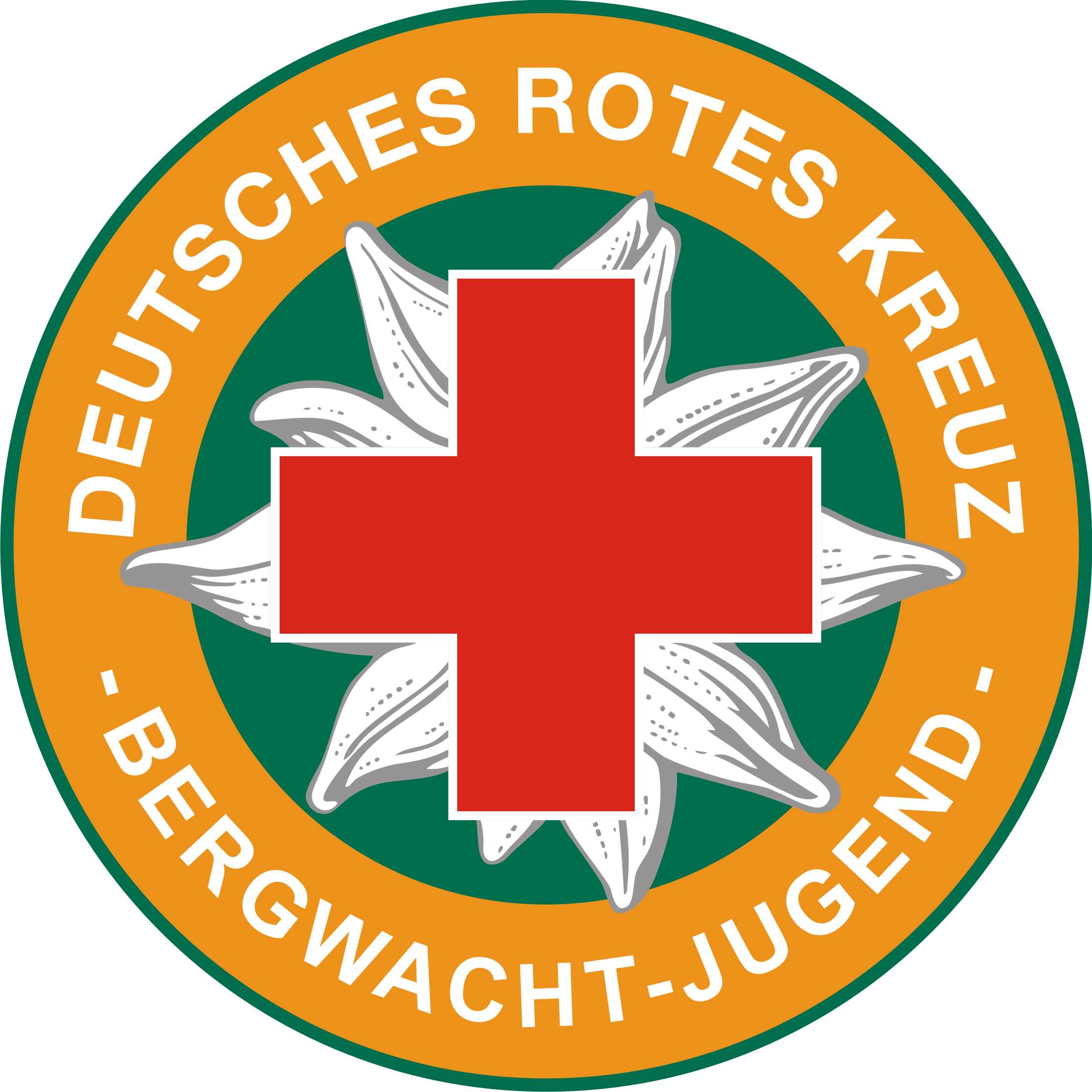 Logo der Bergwachtjugend